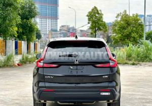 Xe Honda CRV L 2025