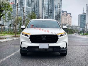 Xe Honda CRV L 2025