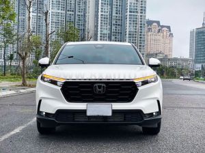 Xe Honda CRV L 2025