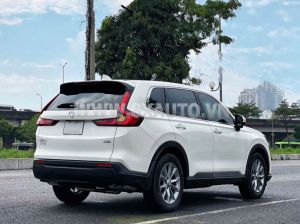 Xe Honda CRV L 2025