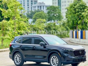 Xe Honda CRV L 2023