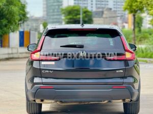 Xe Honda CRV L 2023