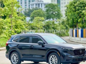Xe Honda CRV L 2023