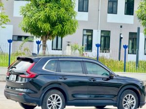 Xe Honda CRV L 2023