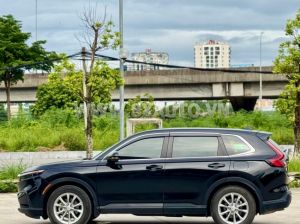 Xe Honda CRV L 2023