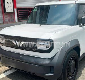 Xe VinFast VF3 Plus 2025