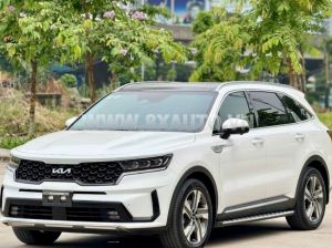 Xe Kia Sorento Premium 2.5G AT 2025