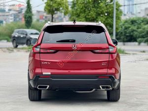 Xe Honda CRV e:HEV RS 2026
